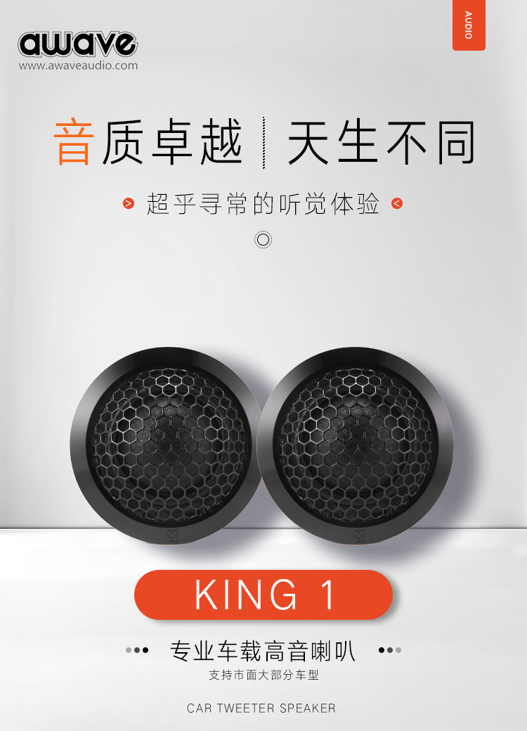 KING1_02.jpg